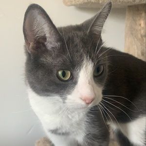 Meet your Posher, Casey